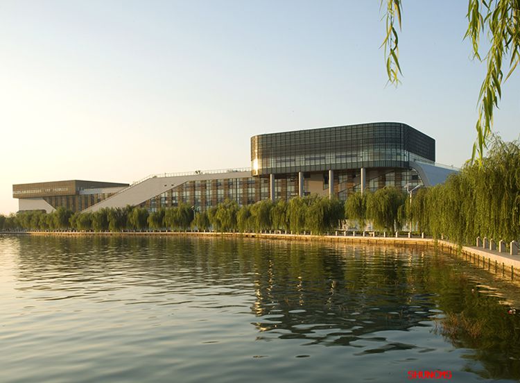 4166 - 全球赢家的信心之选