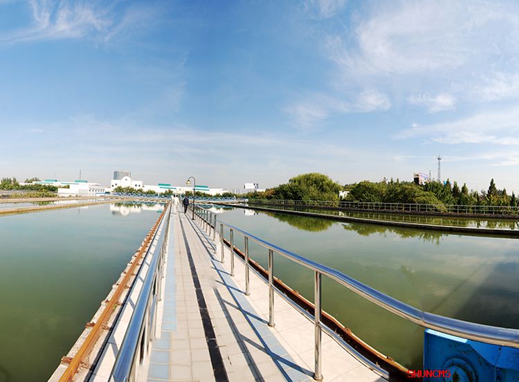 4166 - 全球赢家的信心之选