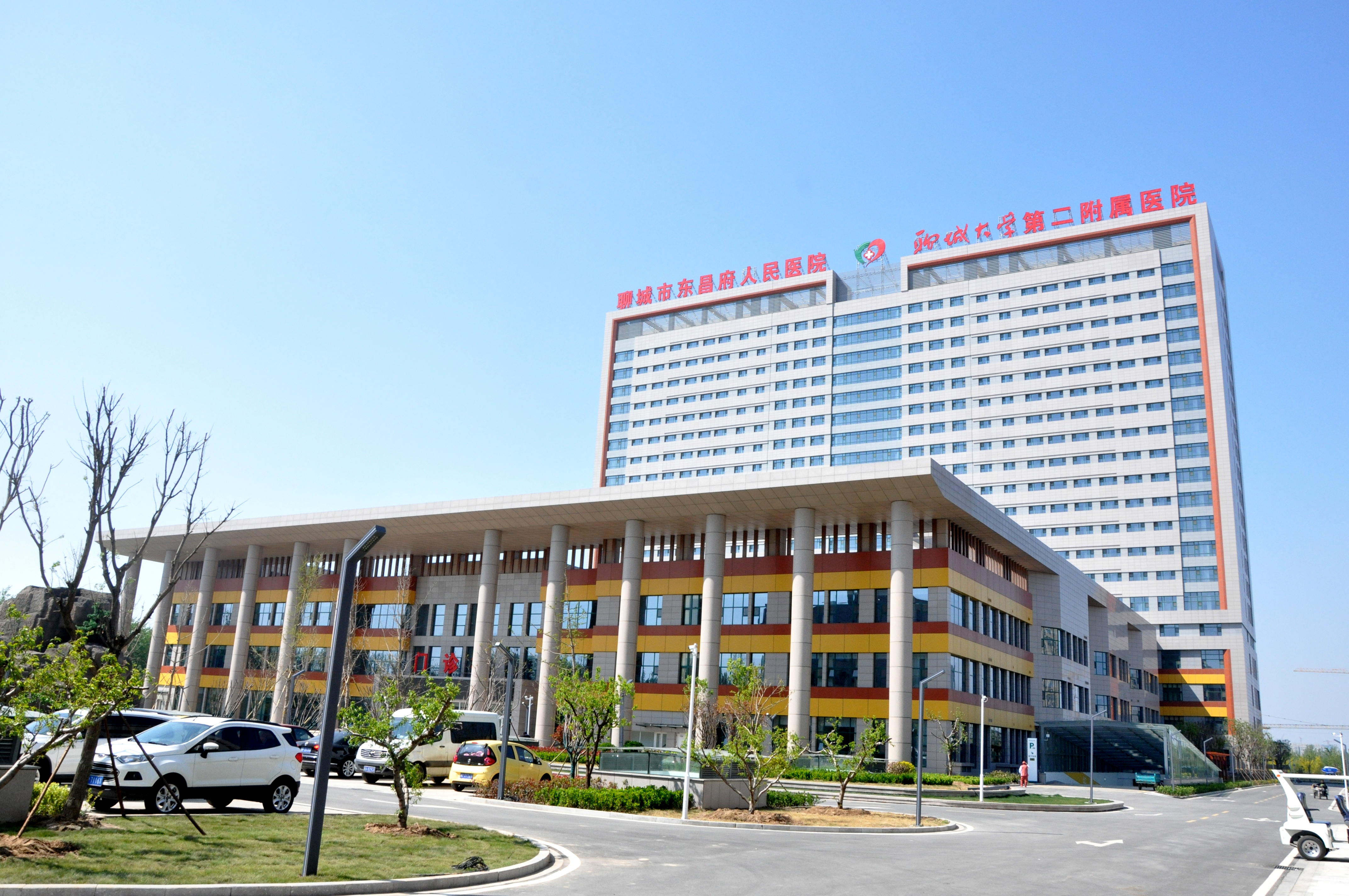 4166 - 全球赢家的信心之选